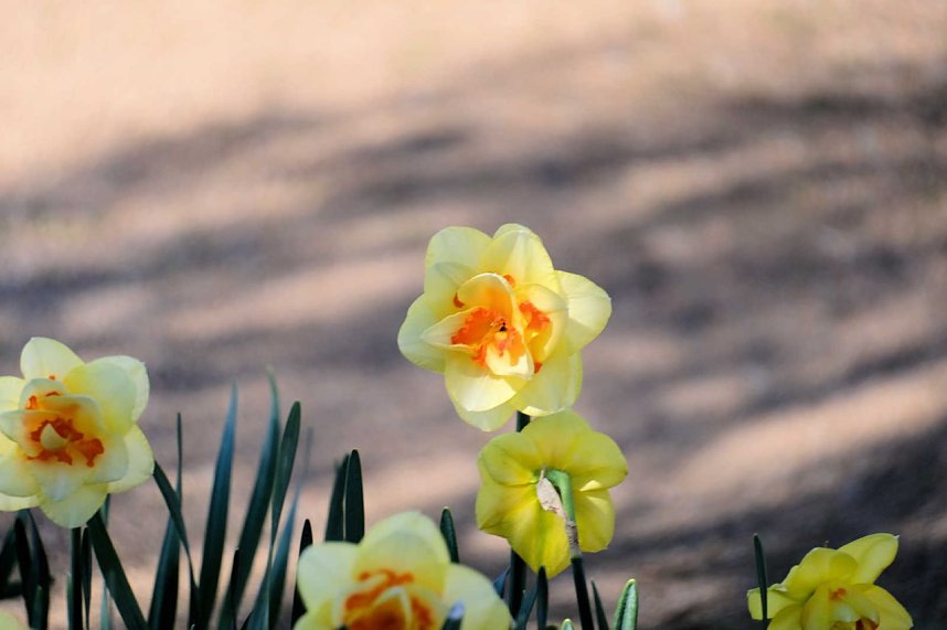 Peter Blei auf Osterspaziergang