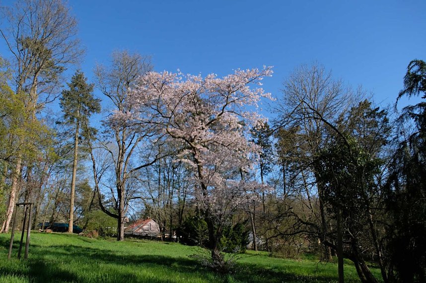 Peter Blei auf Osterspaziergang