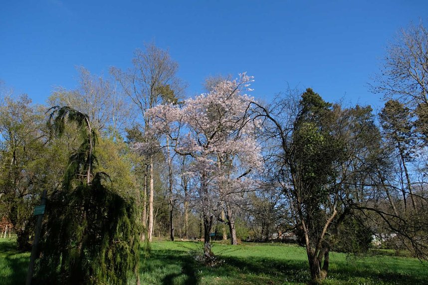 Peter Blei auf Osterspaziergang