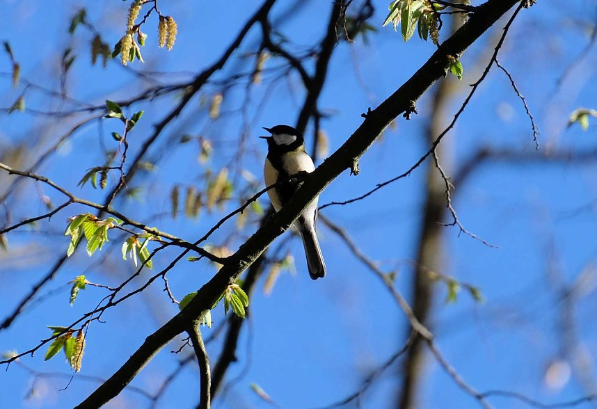 Peter Blei auf Osterspaziergang