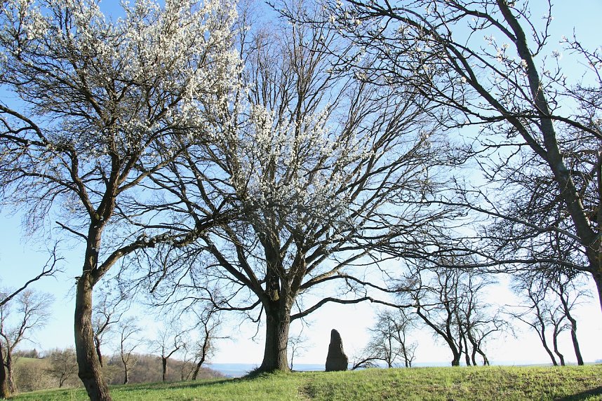 Osterfeuer bei Krimderode