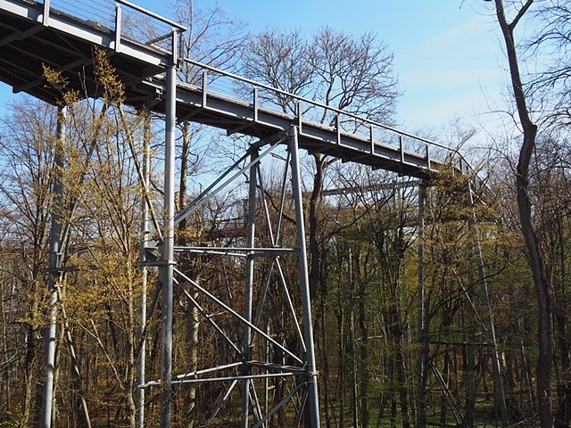 Auf dem Baumkronenpfad