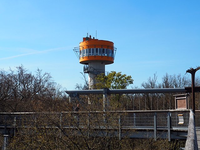 Auf dem Baumkronenpfad