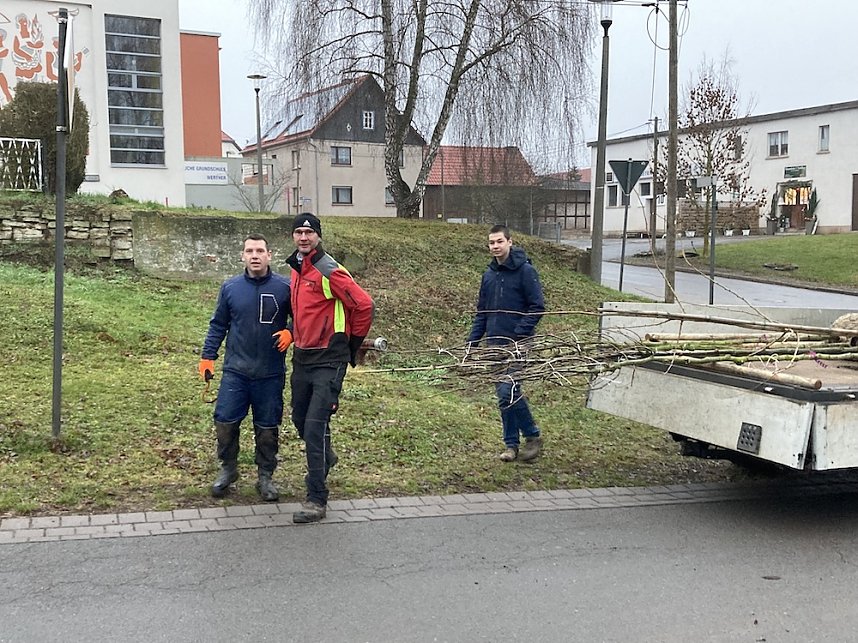 B&auml;ume pflanzen in Gro&szlig;wechsungen