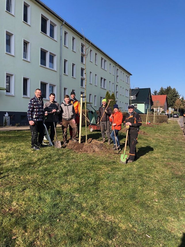 B&auml;ume pflanzen in Gro&szlig;wechsungen