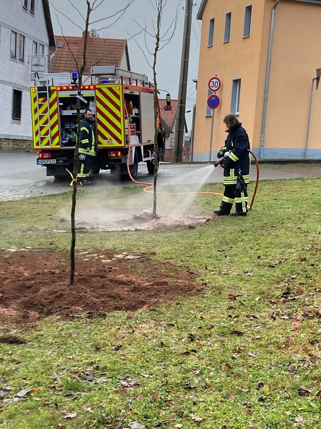 B&auml;ume pflanzen in Gro&szlig;wechsungen