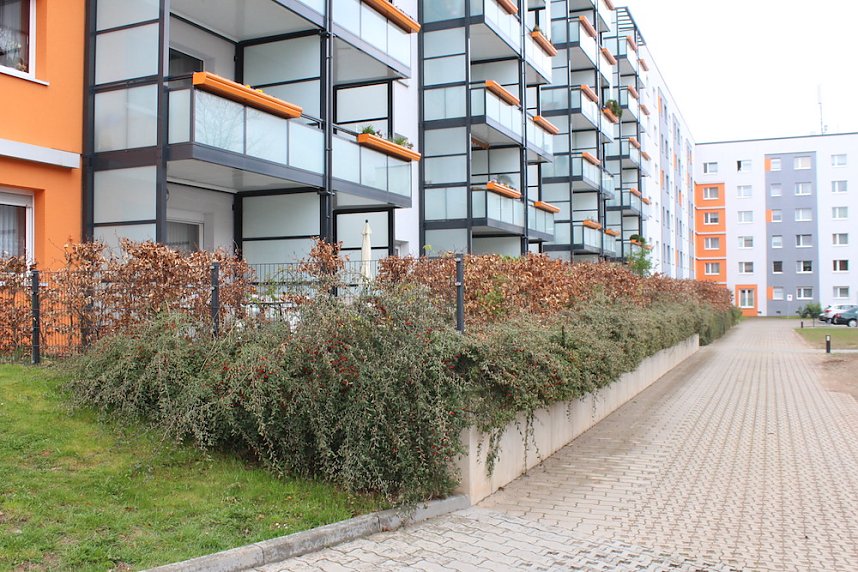 Senioren-Wohnprojekt Aueblick der WBG S&uuml;dharz