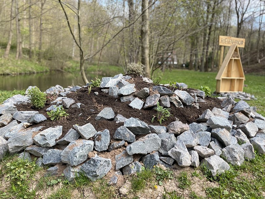 Kr&auml;uterschnecke im L&ouml;nspark