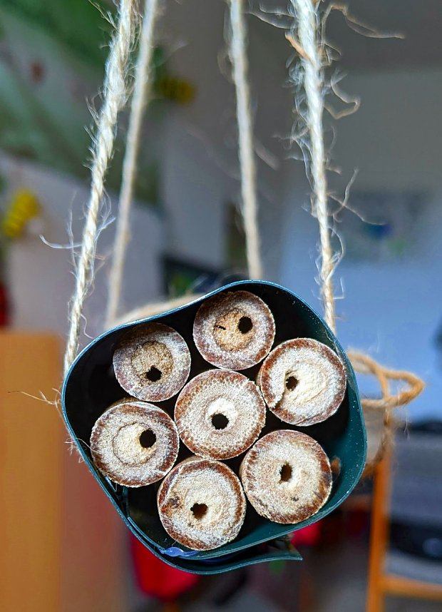 Bienenh&auml;user gebastelt