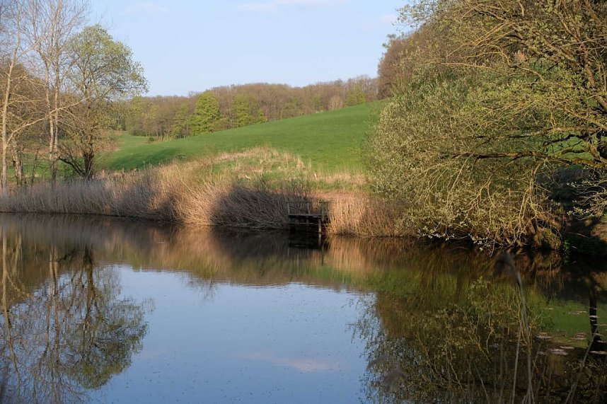 Abendspaziergang mit neuem Objektiv