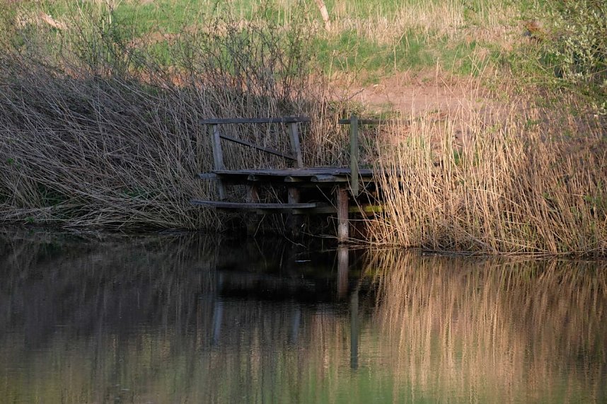Abendspaziergang mit neuem Objektiv