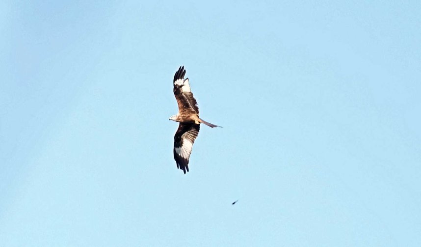 Abendspaziergang mit neuem Objektiv