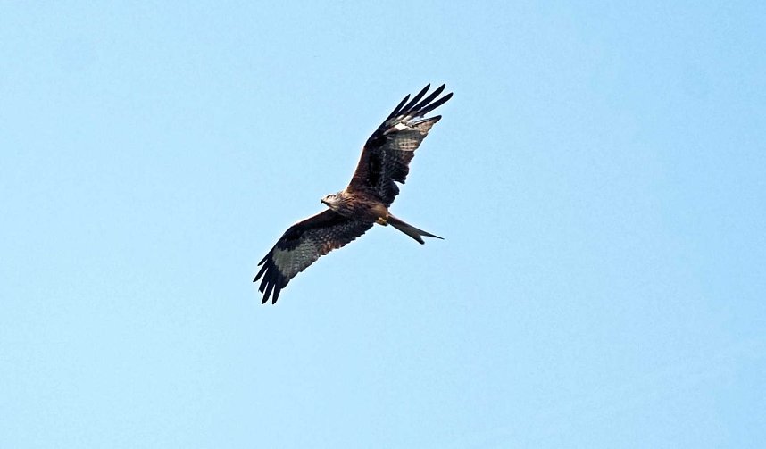 Abendspaziergang mit neuem Objektiv