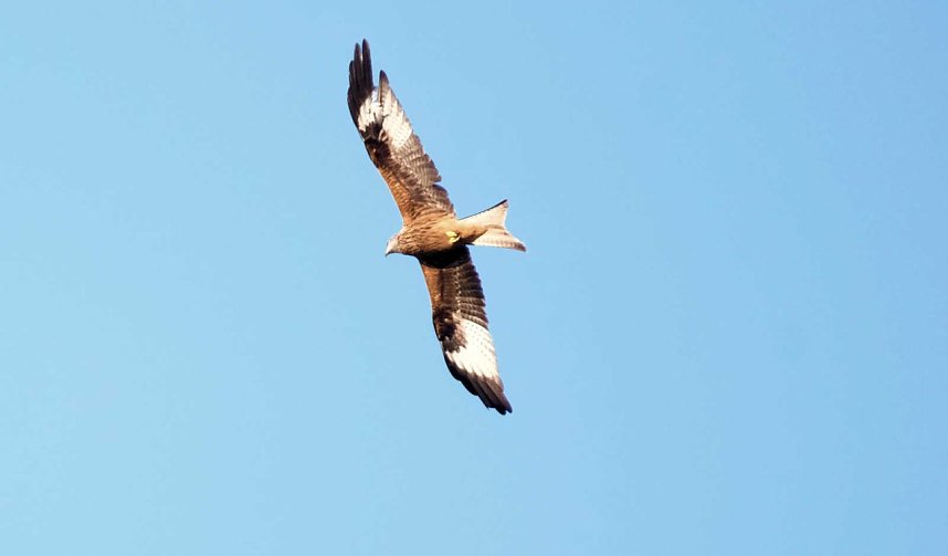 Abendspaziergang mit neuem Objektiv