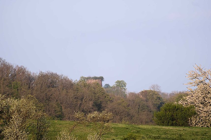 Abendspaziergang mit neuem Objektiv