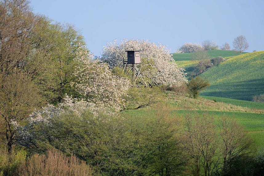 Abendspaziergang mit neuem Objektiv