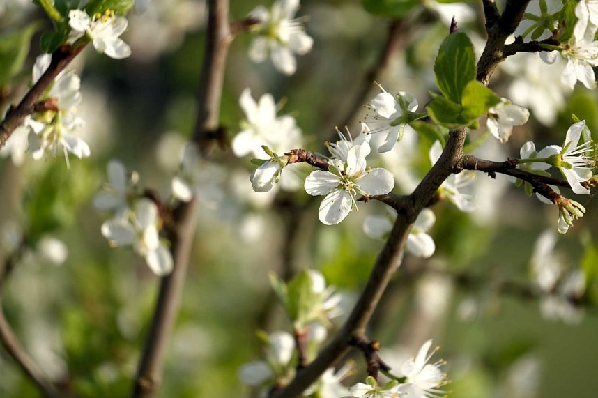 Abendspaziergang mit neuem Objektiv