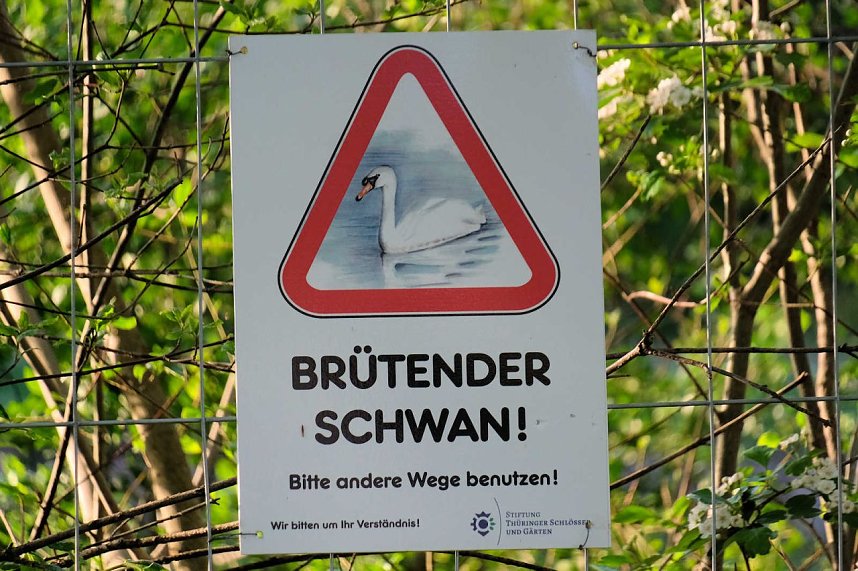 Sie br&uuml;ten noch!