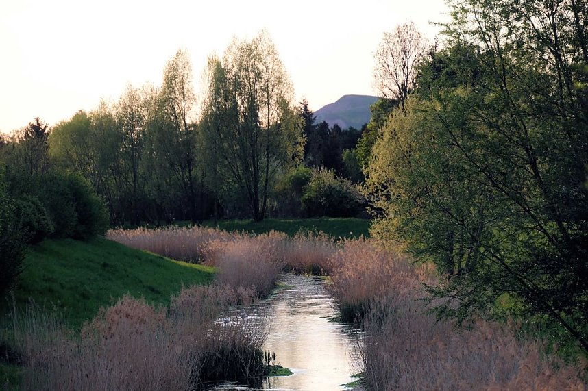 Sie br&uuml;ten noch!