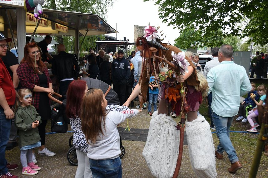 Autofr&uuml;hling 2022