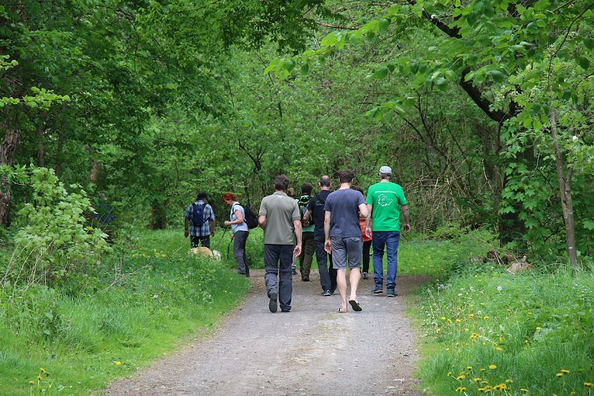 Auf dem Feuersalamanderpfad
