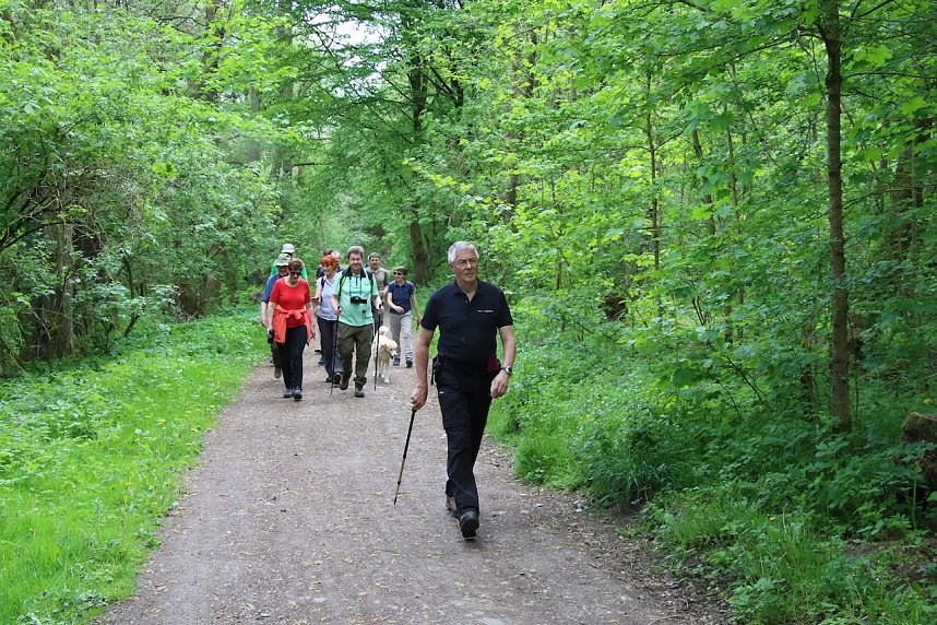 Auf dem Feuersalamanderpfad