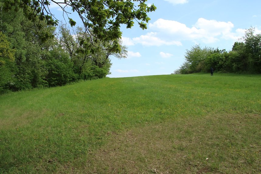 Auf dem Feuersalamanderpfad
