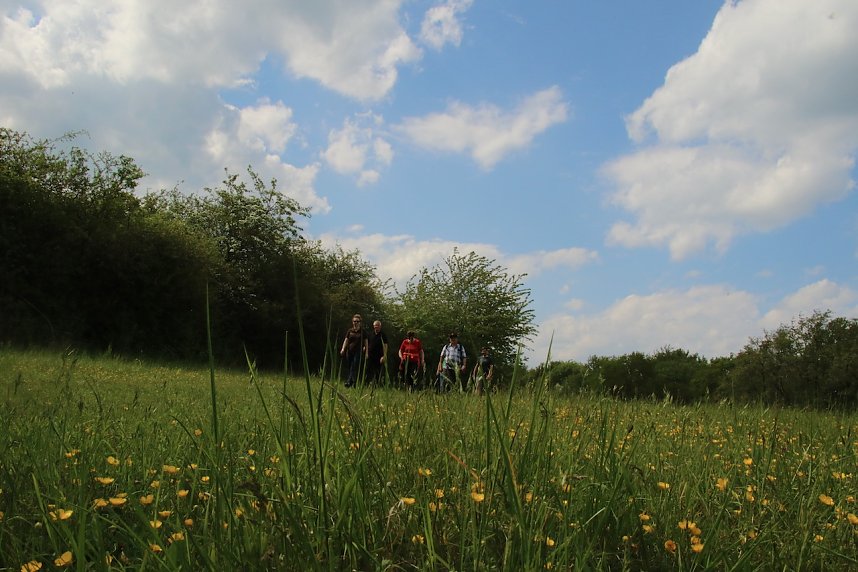 Auf dem Feuersalamanderpfad