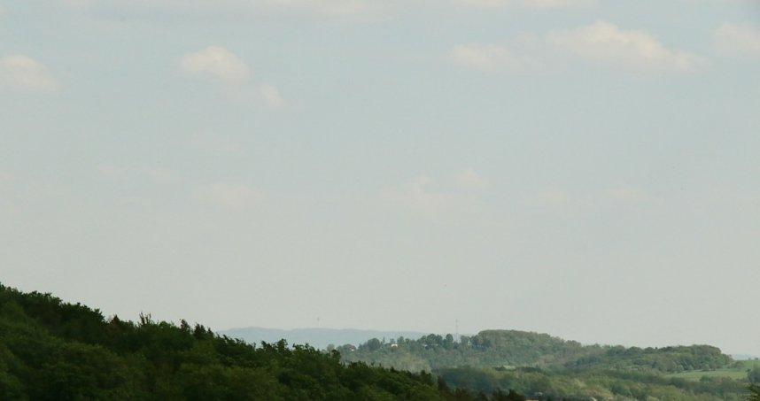 Auf dem Feuersalamanderpfad