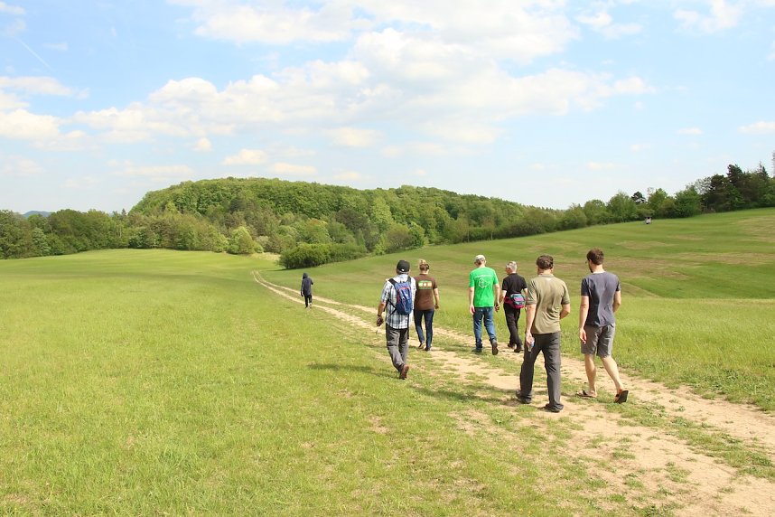 Auf dem Feuersalamanderpfad