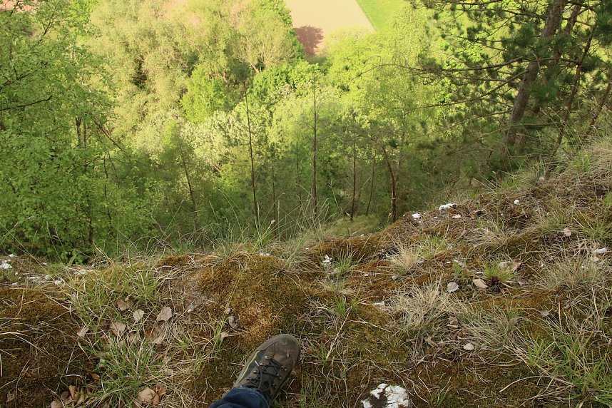 Auf dem Feuersalamanderpfad