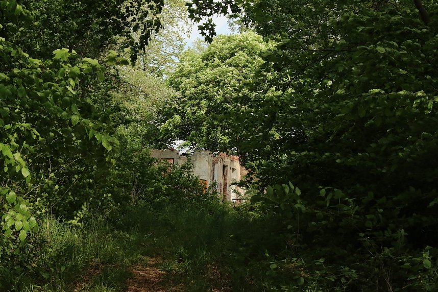 Auf dem Feuersalamanderpfad