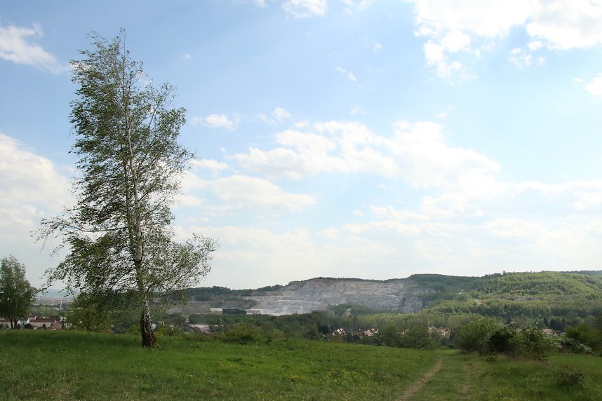 Auf dem Feuersalamanderpfad