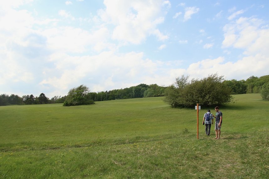 Auf dem Feuersalamanderpfad