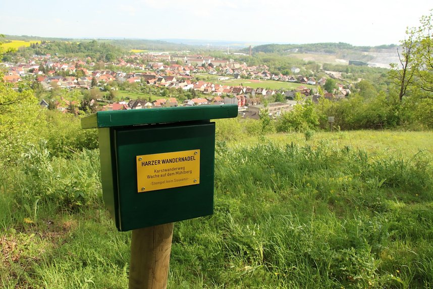 Auf dem Feuersalamanderpfad