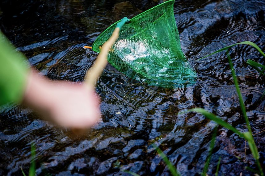 &Ouml;kologische Exkursion zur Zorge
