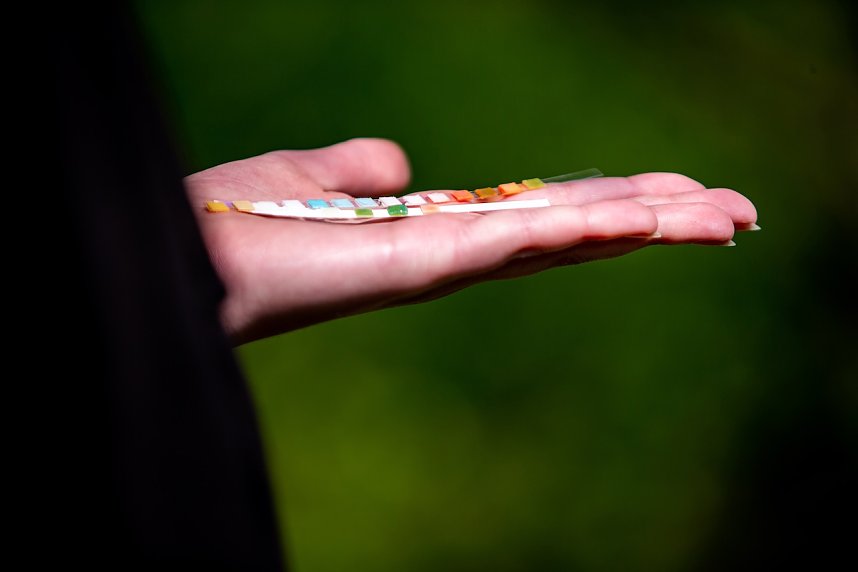 &Ouml;kologische Exkursion zur Zorge