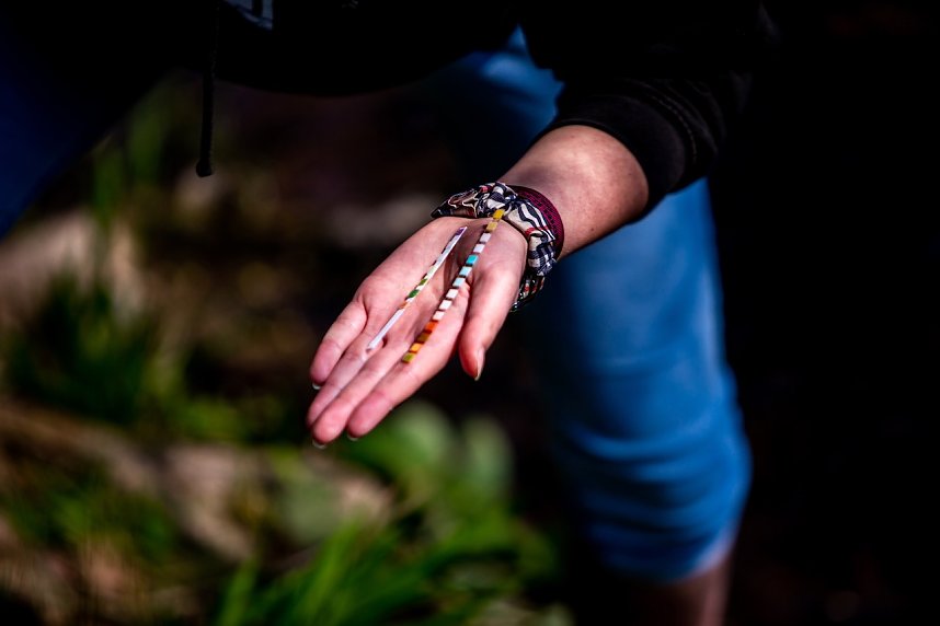 &Ouml;kologische Exkursion zur Zorge