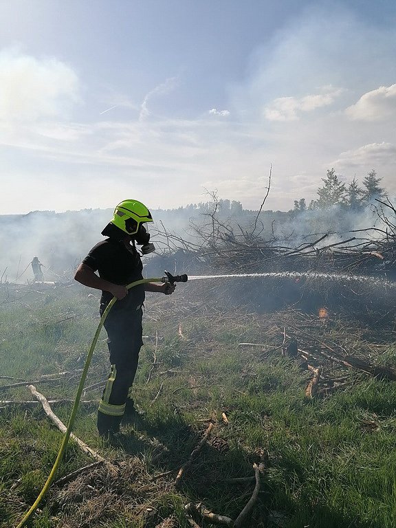 Waldbrand im Birkenmoor