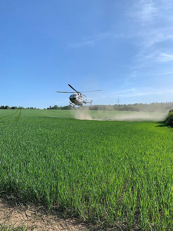 Waldbrand im Birkenmoor