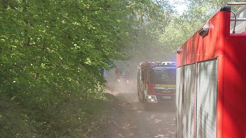 Waldbrand im Birkenmoor
