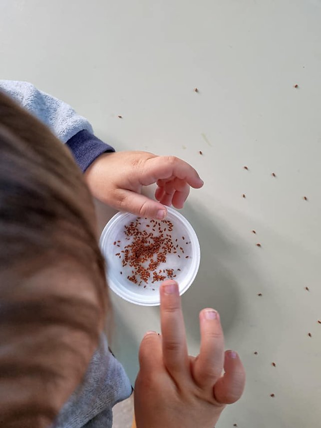 Projektwochen im Fr&ouml;belkindergarten Domschl&ouml;sschen
