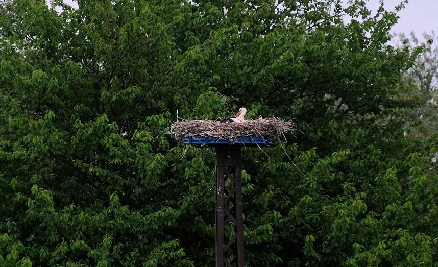 Peter Blei unterwegs am Stausee Kelbra
