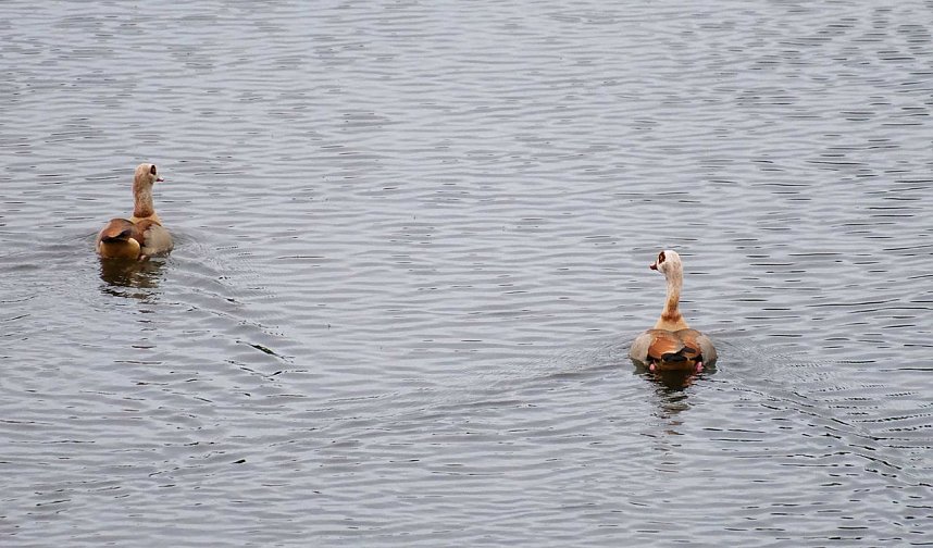 Peter Blei unterwegs am Stausee Kelbra