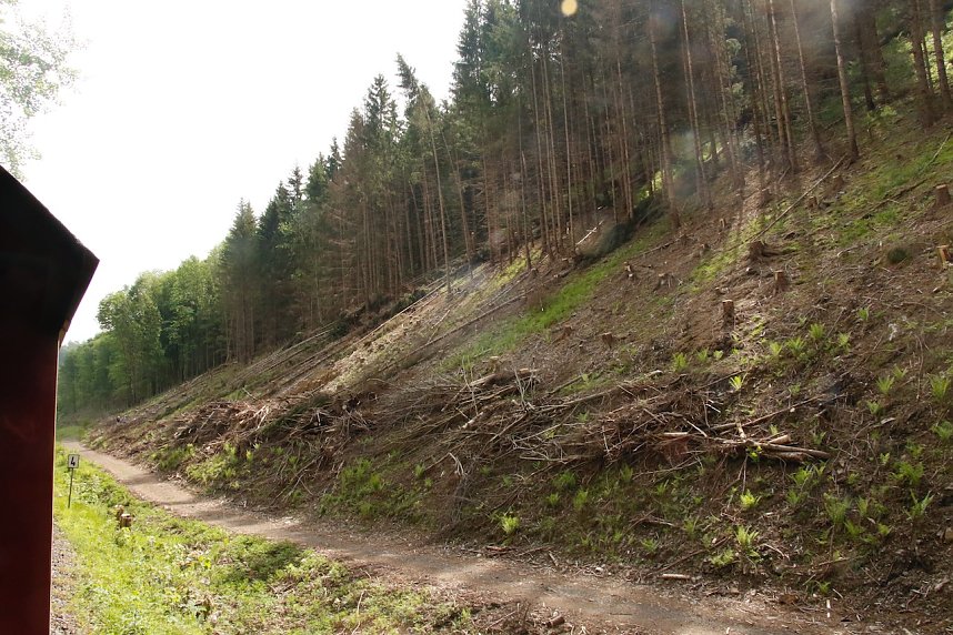 Christi Himmelfahrt im S&uuml;dharz