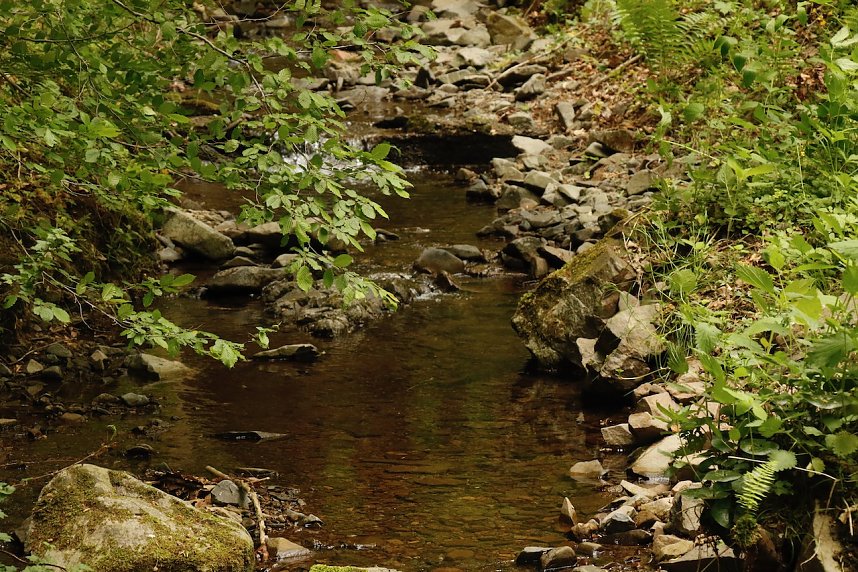 Christi Himmelfahrt im S&uuml;dharz