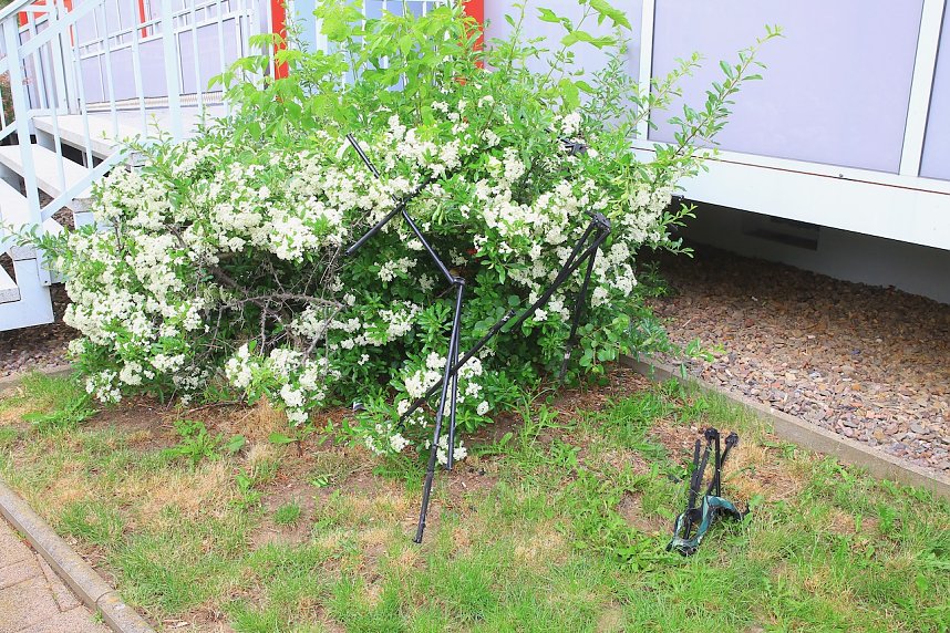 Einsatz im Zuckerweg