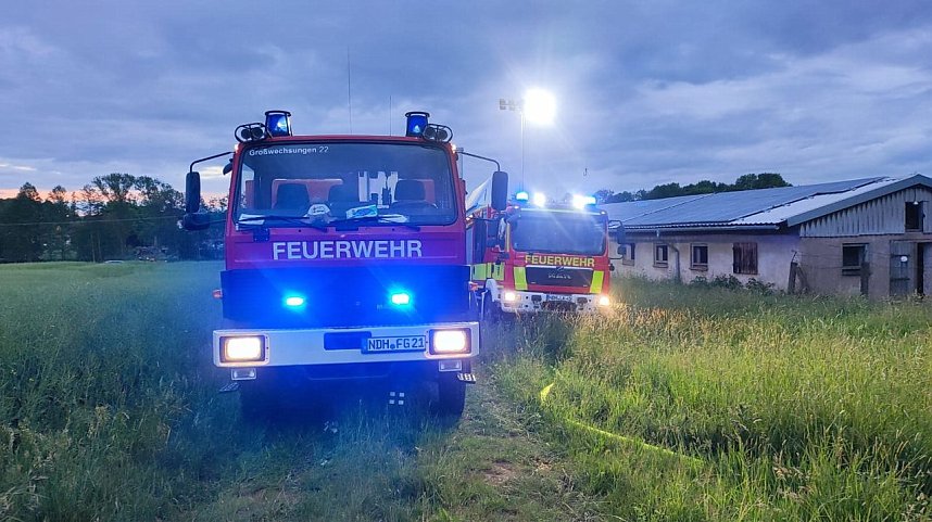 Feuerwehreinsatz bei Schiedungen
