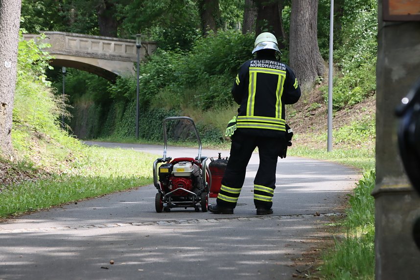 Brand am Park Hohenrode