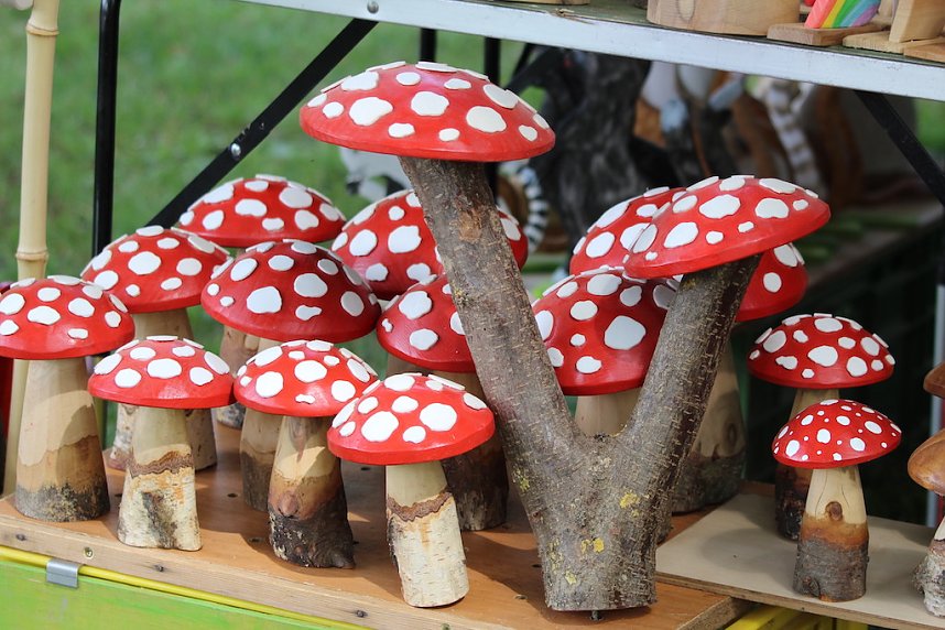 19. Residenzfest Sondershausen